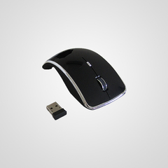 Mouse 24