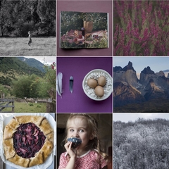Frutos de la Patagonia - Pastelería & fotografía - Ceci & Lieve - tesoros para regalar