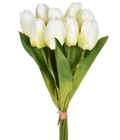 RAMALHETE DE TULIPA OFF WHITE COM 9 FLORES