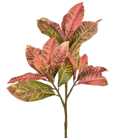 FOLHAS DE CROTON VERDE E ROSA - HASTE