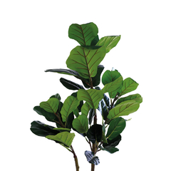 FICUS LYRATA 120CM - PLANTA PERMANENTE - comprar online