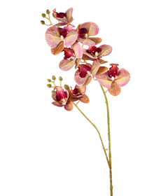 ORQUIDEA RAJADA LAVANDA TOQUE REAL 3D