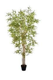 PLANTA BAMBU TOQUE REAL - 1,5M