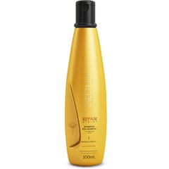 Kit Shampoo 300ml e Máscara 250g Aneethun Repair System - comprar online