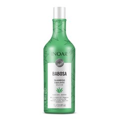 Shampoo Babosa 1000ml Inoar