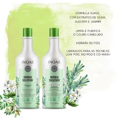 Kit Herbal Solution Profissional 2x1000ml Inoar na internet