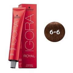 Coloração 6-6 Louro Escuro Marrom Igora Royal 60g Schwarzkopf