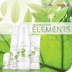 Shampoo 250ml + Condicionador 200ml + Máscara 150ml + Leave-In 150ml Elements Wella na internet