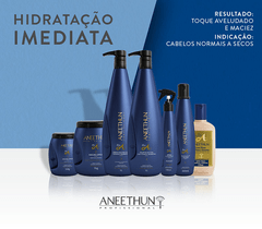 Aneethun Kit Hidratação Imediata Shampoo + Creme + Máscara 3x1000ml - comprar online