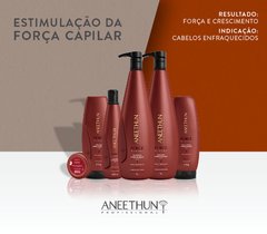 Shampoo Fortalecedor Aneethun Force System 300ml na internet