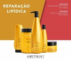 Finalizador Aneethun Repair System 250g - comprar online