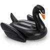 Boia Cisne Negro pra Piscina