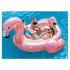 Boia Ilha Flamingo Gigantesco imensa