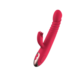 VIBRADOR LIBO VAI E VEM - Q Charme