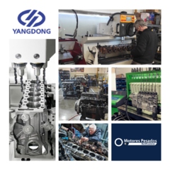 Rectificación motores Yangdong