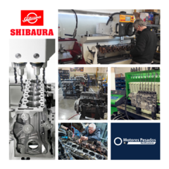 Rectificación motores Shibaura