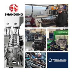 Rectificación motores Shandong