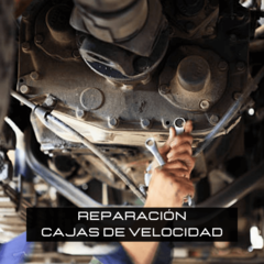 reparación de cajas de cambio manuales y automáticas de marcas como ZF - Fae - Eaton - Bauza - G32 - G60 - Mercedes Benz - Scania - Mack - Iveco - Renault - Volvo - etc.