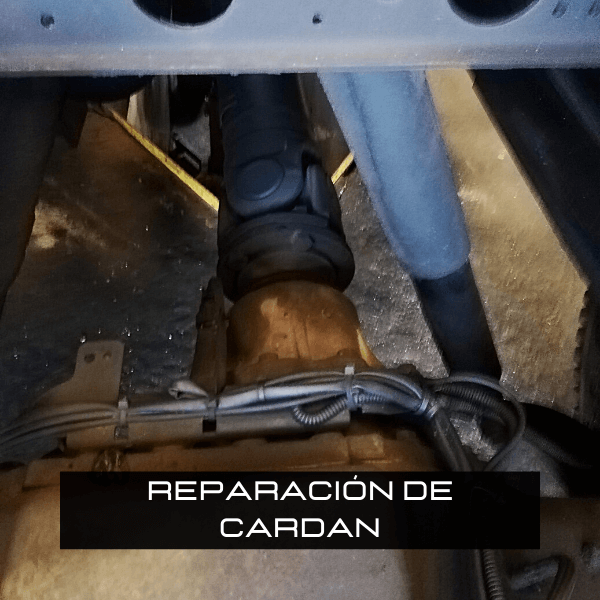 Reparación de Cardanes