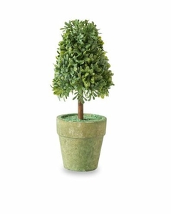 Plantita maceta Conica 15 cm