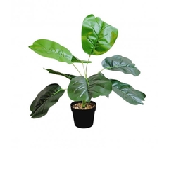 Planta Hojas con Maceta 38 cm