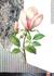 Obra “Serie botánico” en internet