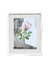 Obra “Serie botánico” - comprar online