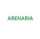 Arenaria (Yerba Meona) 100 grms.