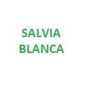 Salvia Blanca 100 grms.