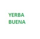 Yerba Buena 100 grms.