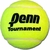 Pelotas Penn Championship Sello Azul Tenis Paddle Balls - comprar online