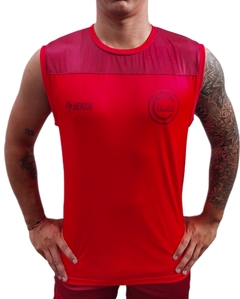 MUSCULOSA ENTRENAMIENTO CLUB LUJAN HOMBRE 2025 - comprar online