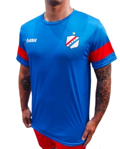 REMERA ENTRENAMIENTO DEPORTIVO PARAGUAYO AZUL HOMBRE 2025 en internet