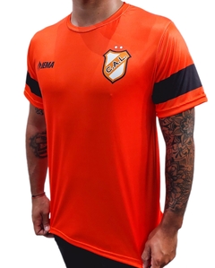 REMERA ENTRENAMIENTO ATLÉTICO LUGANO NARANJA HOMBRE 2025 en internet