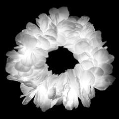 Vincha corona led de flores color blanco