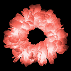 Vincha corona led de flores color coral