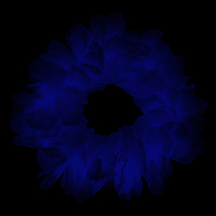 Vincha corona led de flores color azul