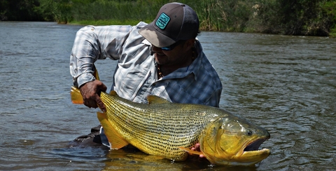 Carrusel Outdoor Salta