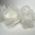 4 roses - buy online