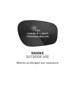 Anteojos De Seguridad Smoke/Black Type-N Mechanix en internet