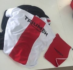 Capa Triumph Street Triple R na internet