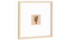 Quadros plants - comprar online