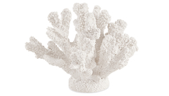White coral - comprar online