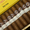 MONTECRISTO MEDIA CORONA