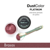 Colorante Platinum Bordó Perlado Brasas Dust Color Comestibl - comprar online