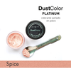 Colorante Linea Platinum Spice Dust Color Perlado Reposteria - comprar online