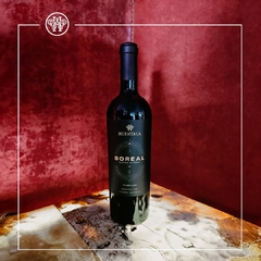 HUENTALA BLOCKS EDITION, Boreal Block 03, Malbec 2021 (CAJA X6 BOTELLAS)