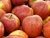 Manzanas roja orgánica / agroecológica