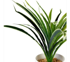 PLANTA 30CM - comprar online