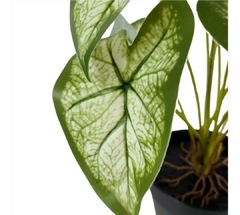 PLANTA 50CM - comprar online